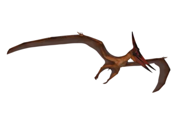 Foto op Canvas Pterandodon dinosaur in flight hunting. 3D illustration isolated. © IG Digital Arts
