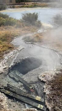 Source chaude &agrave; Rotorua - Nouvelle Z&eacute;lande