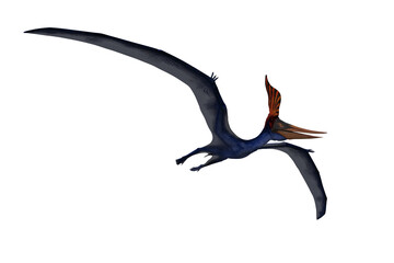 Blue Pteranodon in flight viewed from below. 3D illustration isolated. © IG Digital Arts