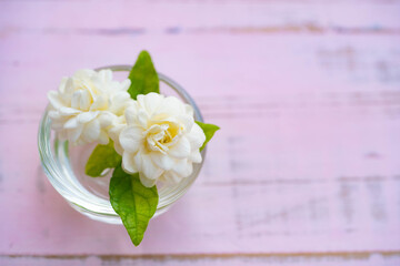 Fresh white Jasmine flower in clear minu cup on pink color wooden background