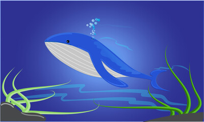 Blue Whale in the ocean