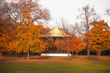 Autumn scene, Greenwich Park in London, England