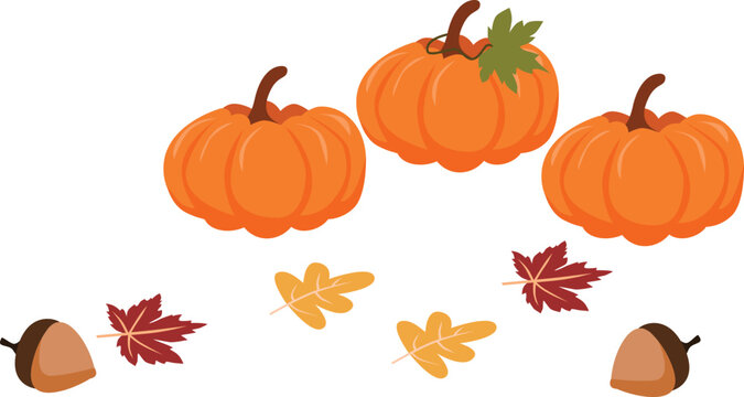 pumpkin and autumn