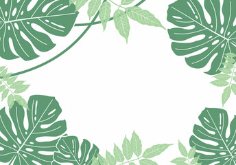 Naklejka premium Tropics. Floral background of tropical green leaves of monstera, acacia and vines. Vector illustration isolated on white background. Frame, template for postcards, invitations and congratulations.