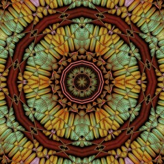 colourful hexagonal kaleidoscopic pattern and macaroon design