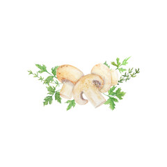 Watercolor illustration of mushroom. Champignon. Botanical illustration.