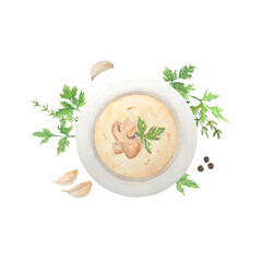 Watercolor illustration of mushroom soup. Champignon. Botanical illustration. Food painting.