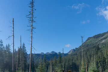 Berglandschaft um das Meerauge in der Hohen Tatra in Polen