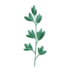 Fototapeta premium leaf
