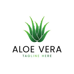 Aloevera. herbal concept - vector illustration, aloe vera logo inspiration vector template