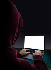 Naklejka premium Person using laptop