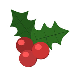 illustration vector christmas berry cranberry