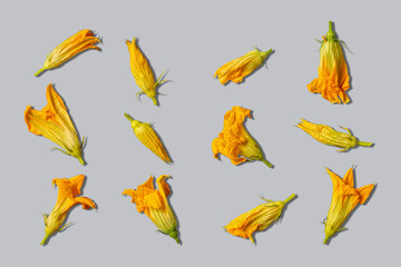 Edible zucchini flowers