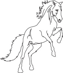 Hand drawn vector illustration of a horse