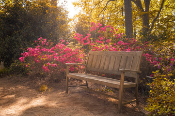 Rest area with bench on a garden hit by sunlight