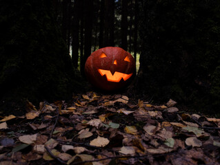 Smiling Halloween pumpkin head on a stump in front of twilight pine forest background. Celebration...