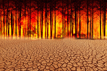Scary Wildfire and Drought Disaster environment Background Concept
