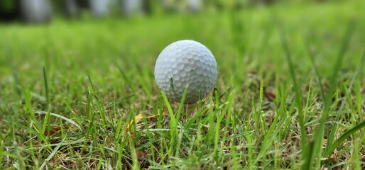 Blurred image of white golf ball and green lawn People all over the world play golf during their holidays for health and relaxation. Golf ball placed on a green lawn in a golf course
