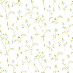 Seamless pattern with field daisies on a white background in flat style. Small flowers.