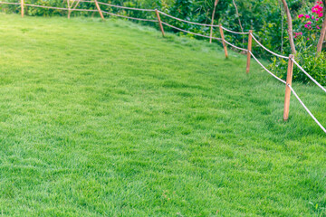 Lawn in the park