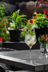 Basil Spritz Cocktail