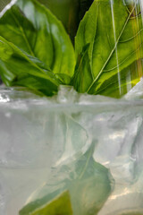 Basil Spritz Cocktail