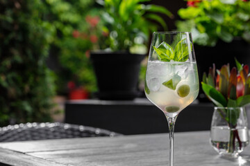Basil Spritz Cocktail