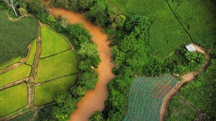 soccer football field