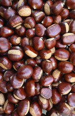 Beautiful close-up of some chestnuts