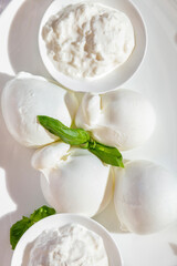 Different types of mozzarella