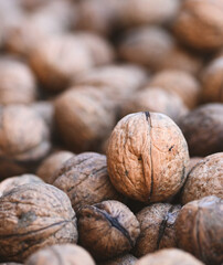 Healthy Walnut Close-Up