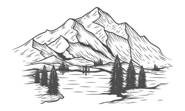 hand drawn mountain design. illustration of mountains and pine trees.