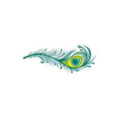 Peacock feathers on a white background. Vector Illustration. Peacock Feather Logo