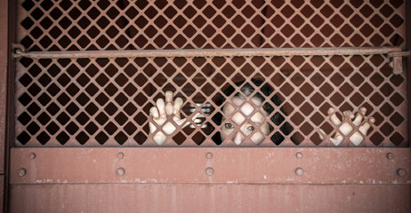 Close up of a mature businesswoman in prison cell