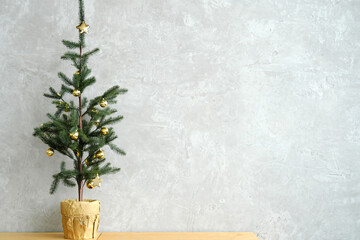Christmas tree with golden balls stands in a pot against a gray wall