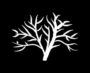 Isolated white simple abstract winter tree 