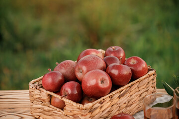 Fresh ripe red apples in the basket on wooden table with natural orchard background. Vegetarian fruit composition. Harvesting concept