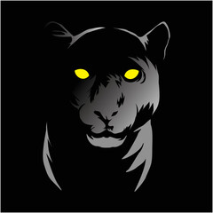 panther and black background