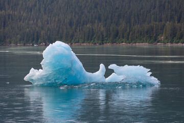 glacial ice floating in Tracy arm in South East Alaska