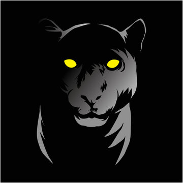 panther and black background