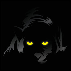 Panther in the dark