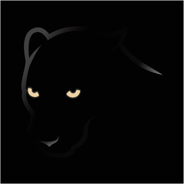 Panther in the dark