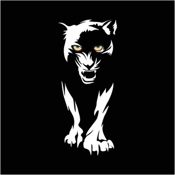 Panther in the dark