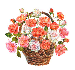 Fototapeta na wymiar Watercolor basket with rose flowers. Pink and white roses in a wicker basket on a white background