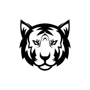 head of a tiger
