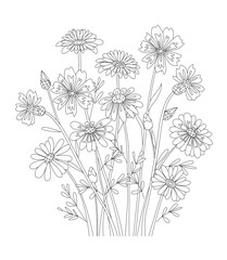 Coloring book with a bunch of meadow flowers. Daisy and carnatio