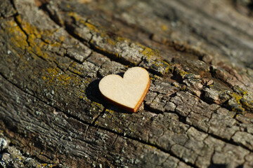 Drewniane serce na pniu drzewa - obrazy, fototapety, plakaty