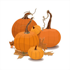Vector illustration of a mountain of pumpkins in different sizes and shapes. Autumn healthy vegetables. Autumn mood and atmosphere. Traditional element of Halloween and Thanksgiving. Isolated on white