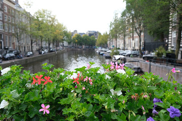 Fototapeta na wymiar La città di Amsterdam