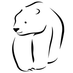 Polar Bear Outline
